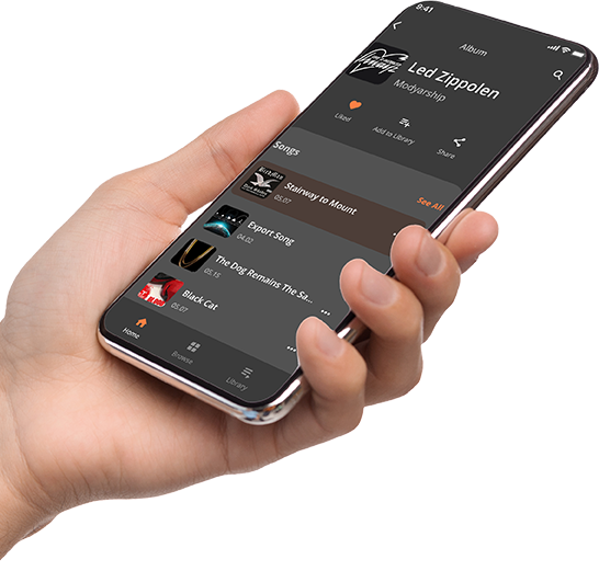 Muziekbingo-afspeellijst op telefoon in hand